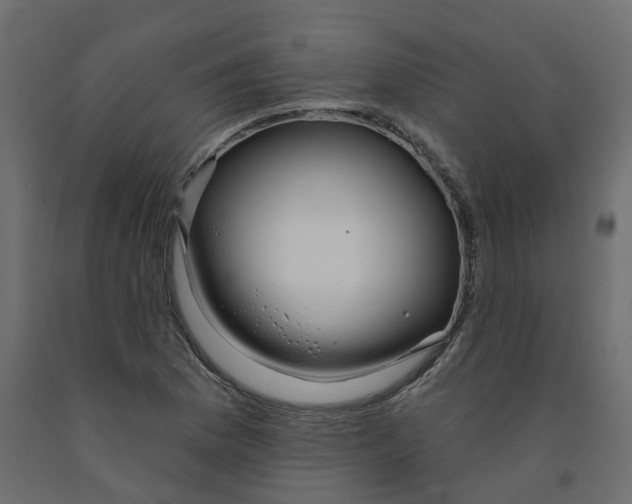 X0000091991169200710041124