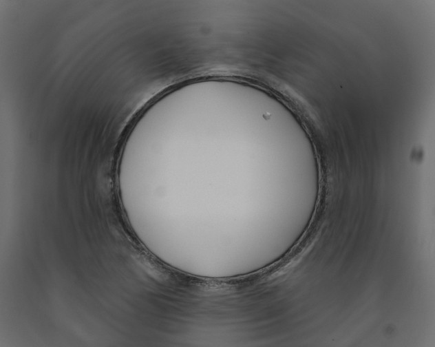 X0000091991170200710041124