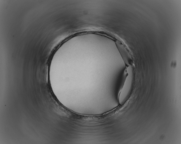 X0000091991171200710041124