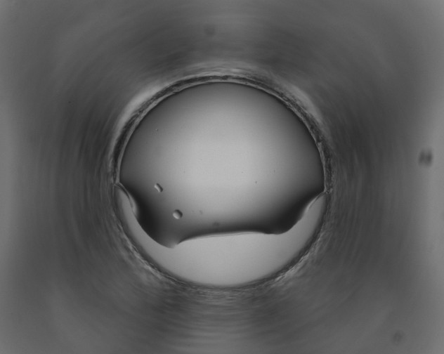 X0000091991172200710041124