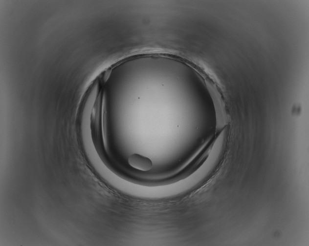 X0000091991173200710041124
