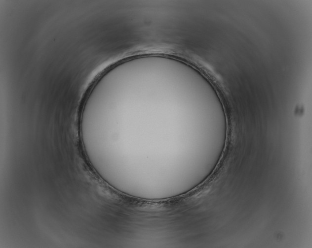 X0000091991174200710041124