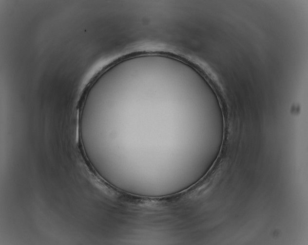 X0000091991175200710041124