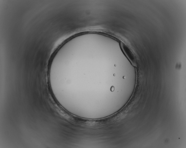 X0000091991176200710041124