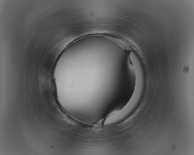 X0000091991177200710041124