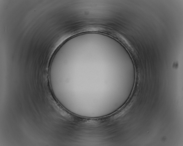 X0000091991178200710041124