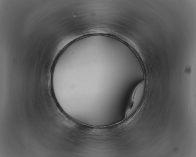 X0000091991179200710041124