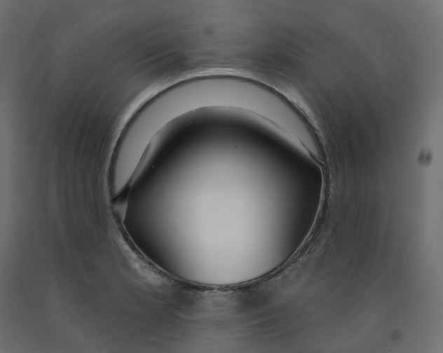 X0000091991181200710041124