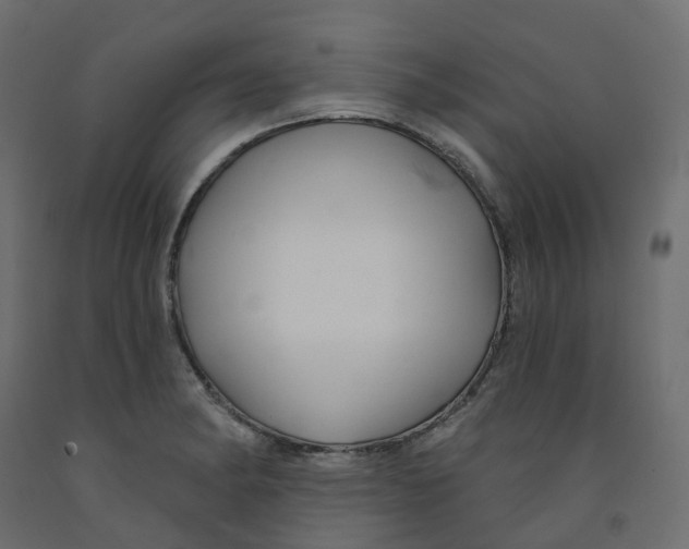 X0000091991182200710041124