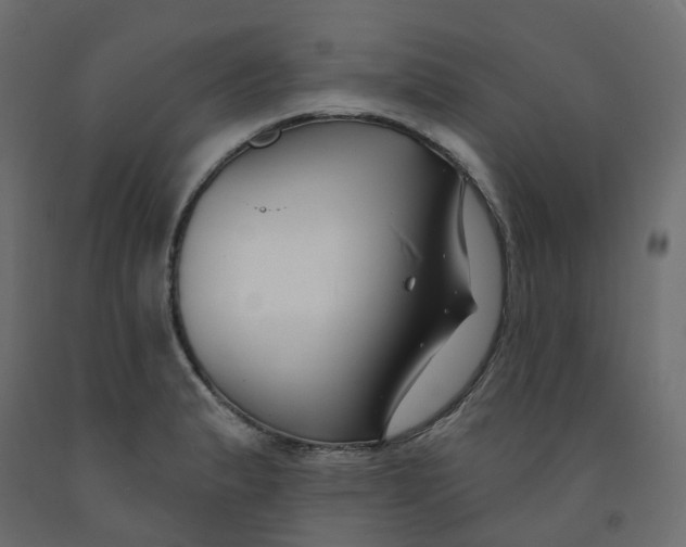 X0000091991183200710041124