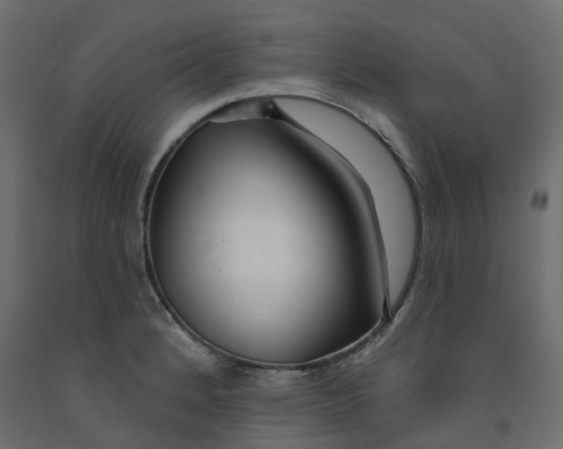 X0000091991184200710041124