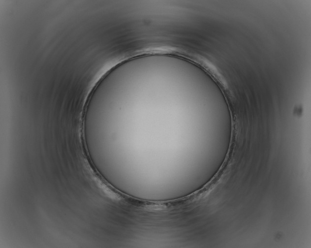 X0000091991186200710041124