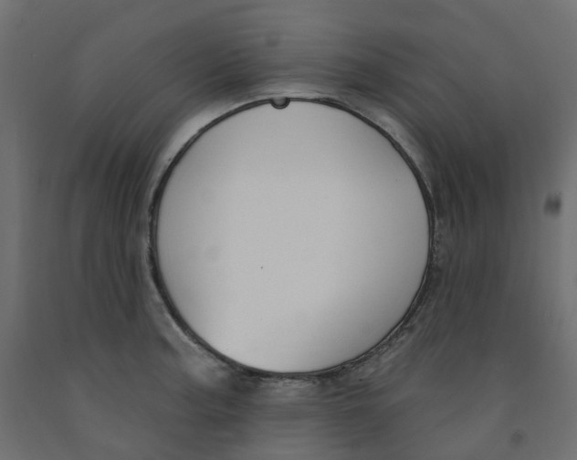 X0000091991187200710041124