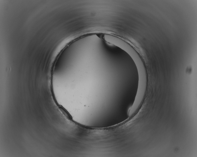 X0000091991188200710041124