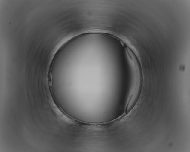 X0000091991189200710041124