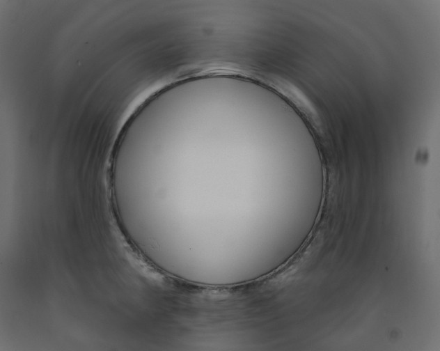 X0000091991190200710041124