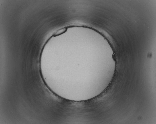 X0000091991191200710041124