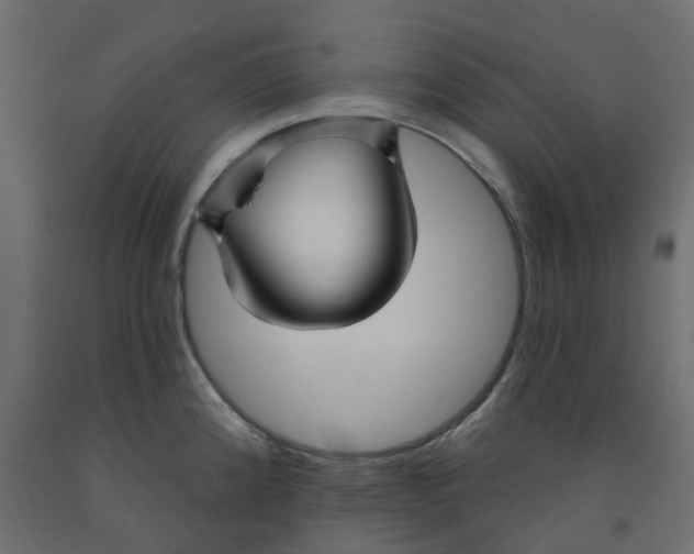 X0000091991192200710041124