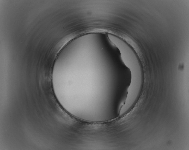 X0000091991193200710041124