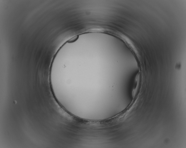 X0000091991194200710041124