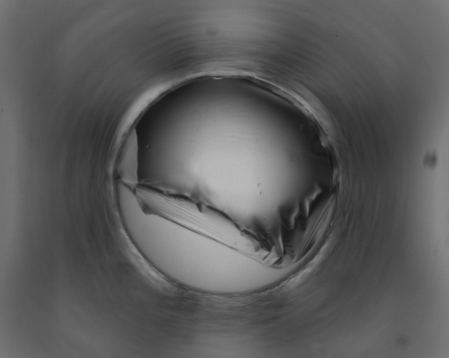 X0000091991196200710041124