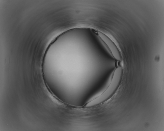 X0000091991197200710041124