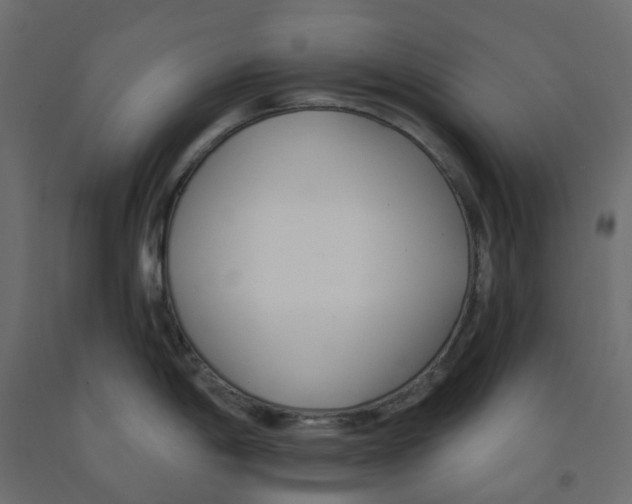 X0000091991198200710041124
