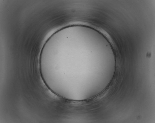 X0000091991199200710041124