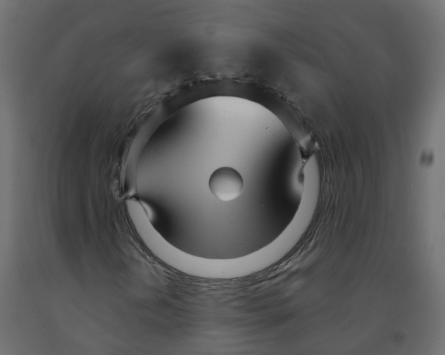 X0000091991202200710041123