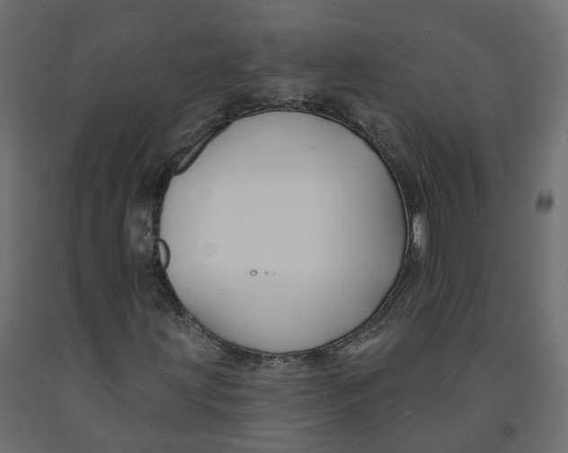 X0000091991203200710041123
