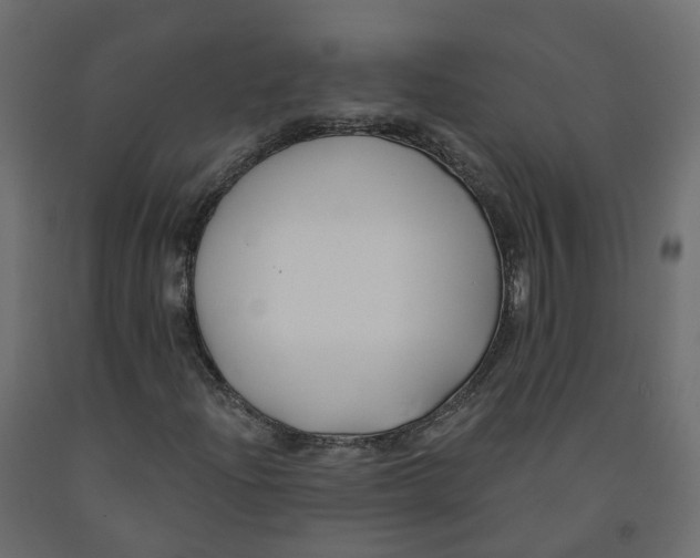 X0000091991204200710041123