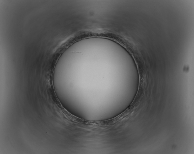 X0000091991205200710041123
