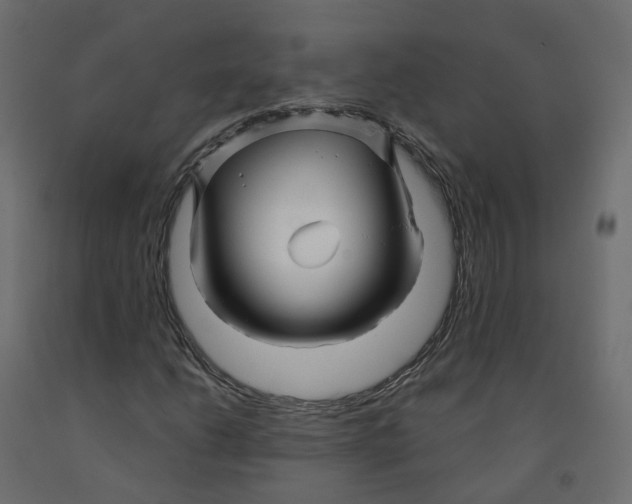 X0000091991206200710041123