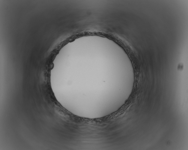 X0000091991207200710041123