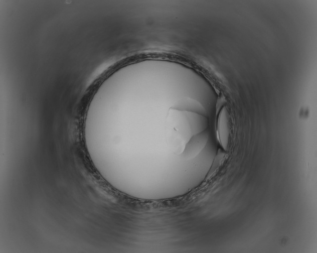 X0000091991208200710041123