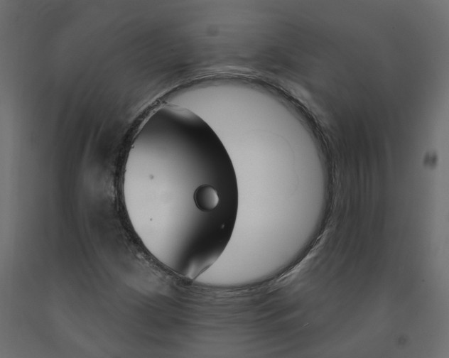 X0000091991209200710041123