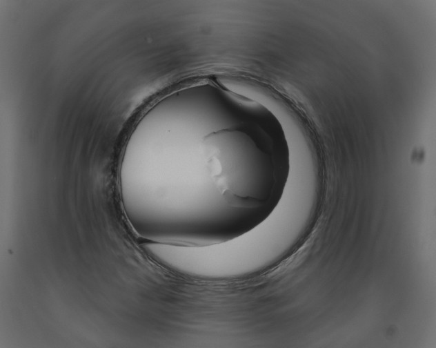 X0000091991210200710041123