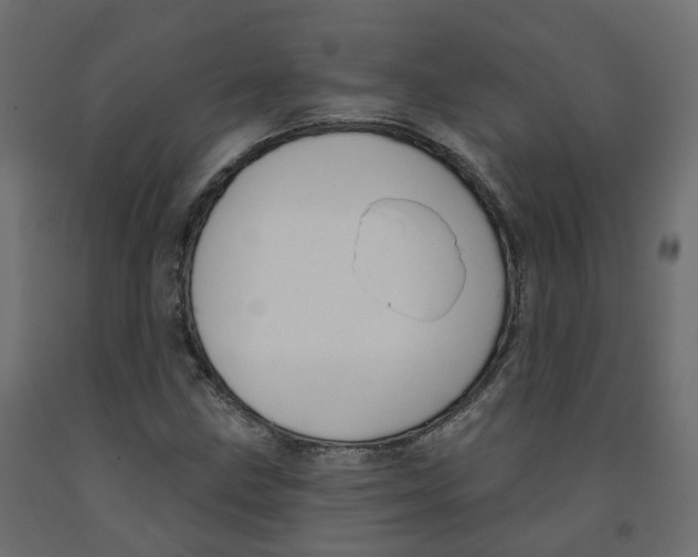 X0000091991211200710041123