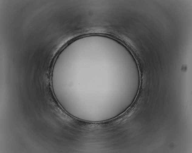 X0000091991212200710041123