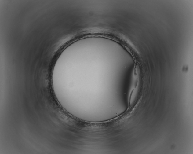 X0000091991213200710041123