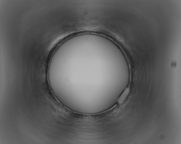 X0000091991214200710041123