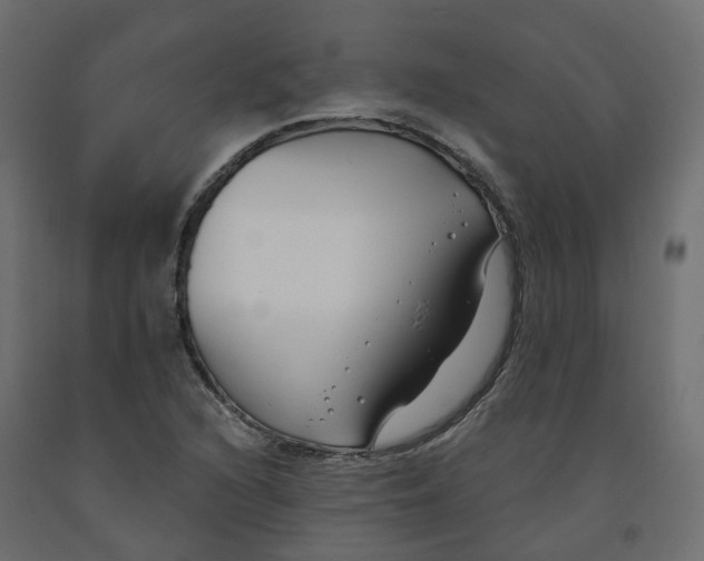 X0000091991216200710041123
