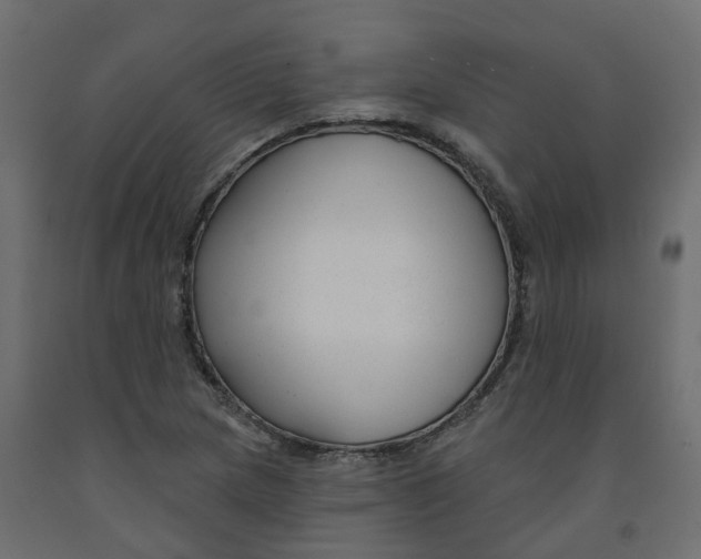 X0000091991217200710041123