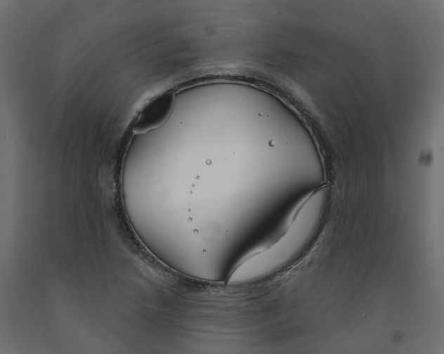 X0000091991218200710041123