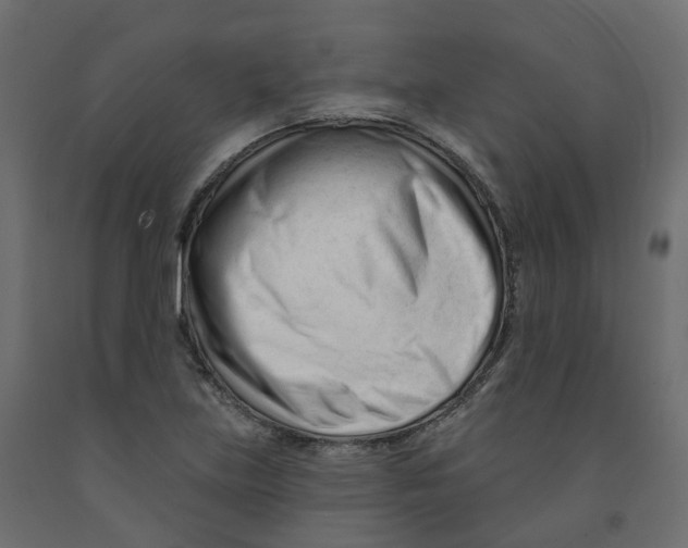 X0000091991219200710041123