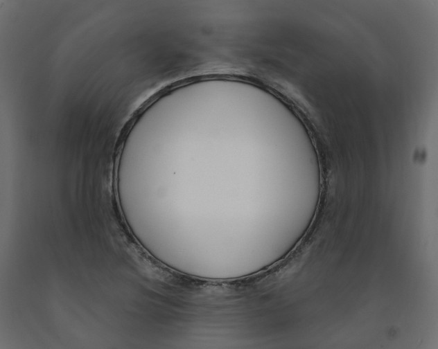 X0000091991220200710041123
