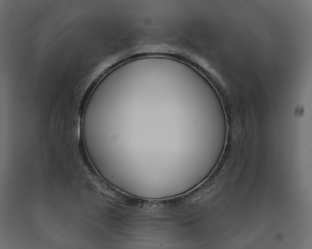X0000091991221200710041123
