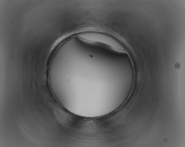 X0000091991222200710041123