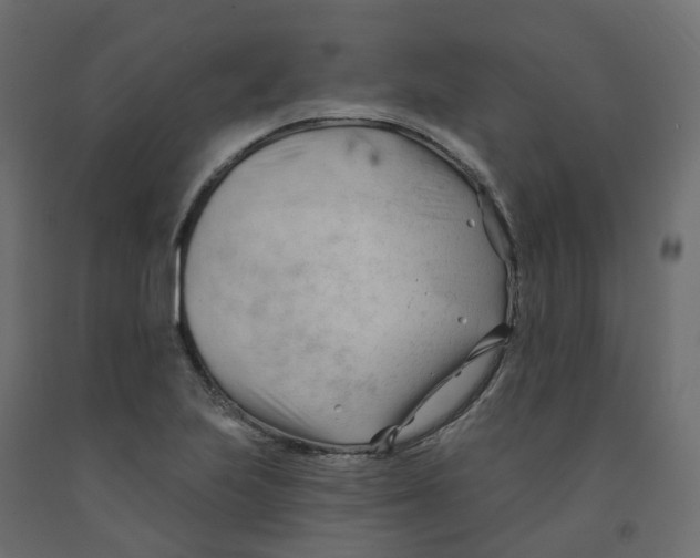 X0000091991223200710041123