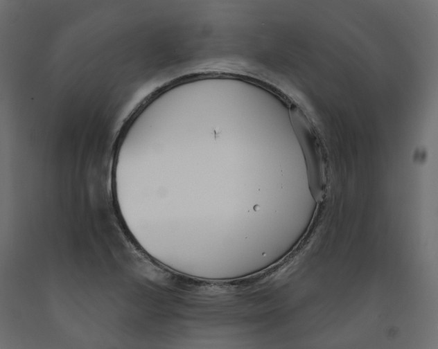 X0000091991224200710041123